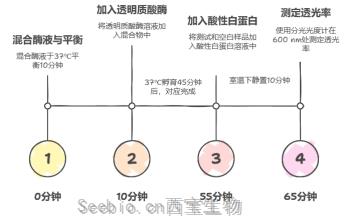 透明質酸酶在醫美里藏著啥驚喜