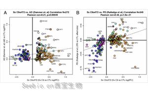 Nature Aging：中年人如何患上癡呆癥？可能與這些蛋白質(zhì)有關(guān)