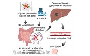 Cell：生酮飲食會影響抗癌藥物活性？最新研究指出<font color='red'>腸道微生物</font>組-膳食的相關癌癥影響