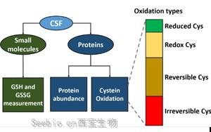 腦脊液中<font color='red'>谷胱甘肽氧化</font>作為肌萎縮側索硬化癥氧化應激的生物標志物研究