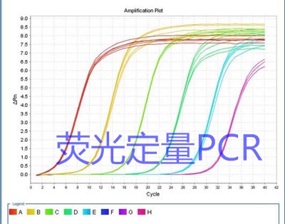 熒光定量PCR檢測就找西寶生物-專業化、準確化