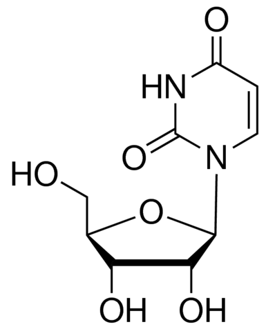 尿苷