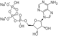 5′-三磷酸腺苷二鈉