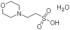 2- (N-嗎啉)乙磺酸