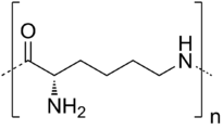 ε-聚賴氨酸