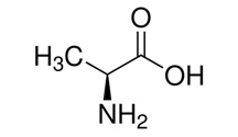 L-丙氨酸 <高純> ≥99.5%|L-Alanine|56-41-7