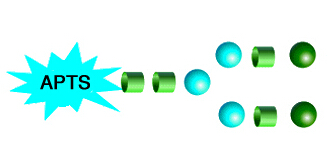 APTS Labeled N-Glycans APTS標(biāo)記N-多糖