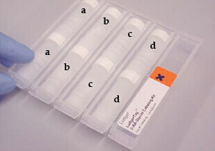 Glycan Labeling Kits 多糖標(biāo)記試劑盒