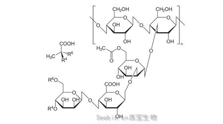 黃原膠分子量標(biāo)準(zhǔn)品 (Xanthan)