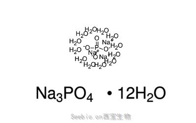 十二水合磷酸鈉