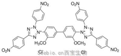 四硝基四氮唑藍; 硝基四唑蘭