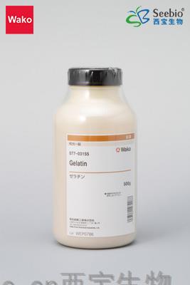 Gelatin 明膠